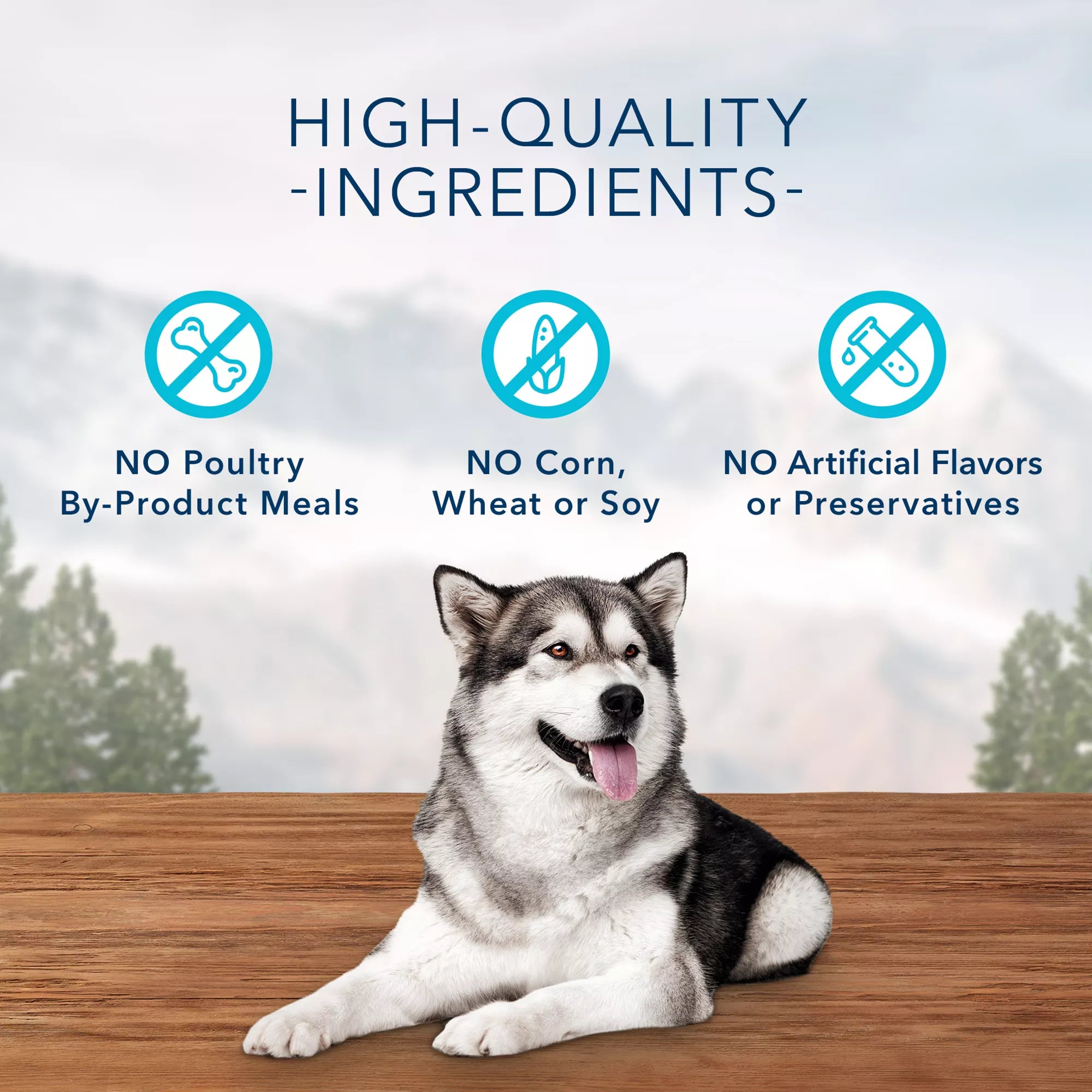 Blue Buffalo Wilderness Wild Bits Adult Dog Treats - Grain-Free Pet Food, Salmon
