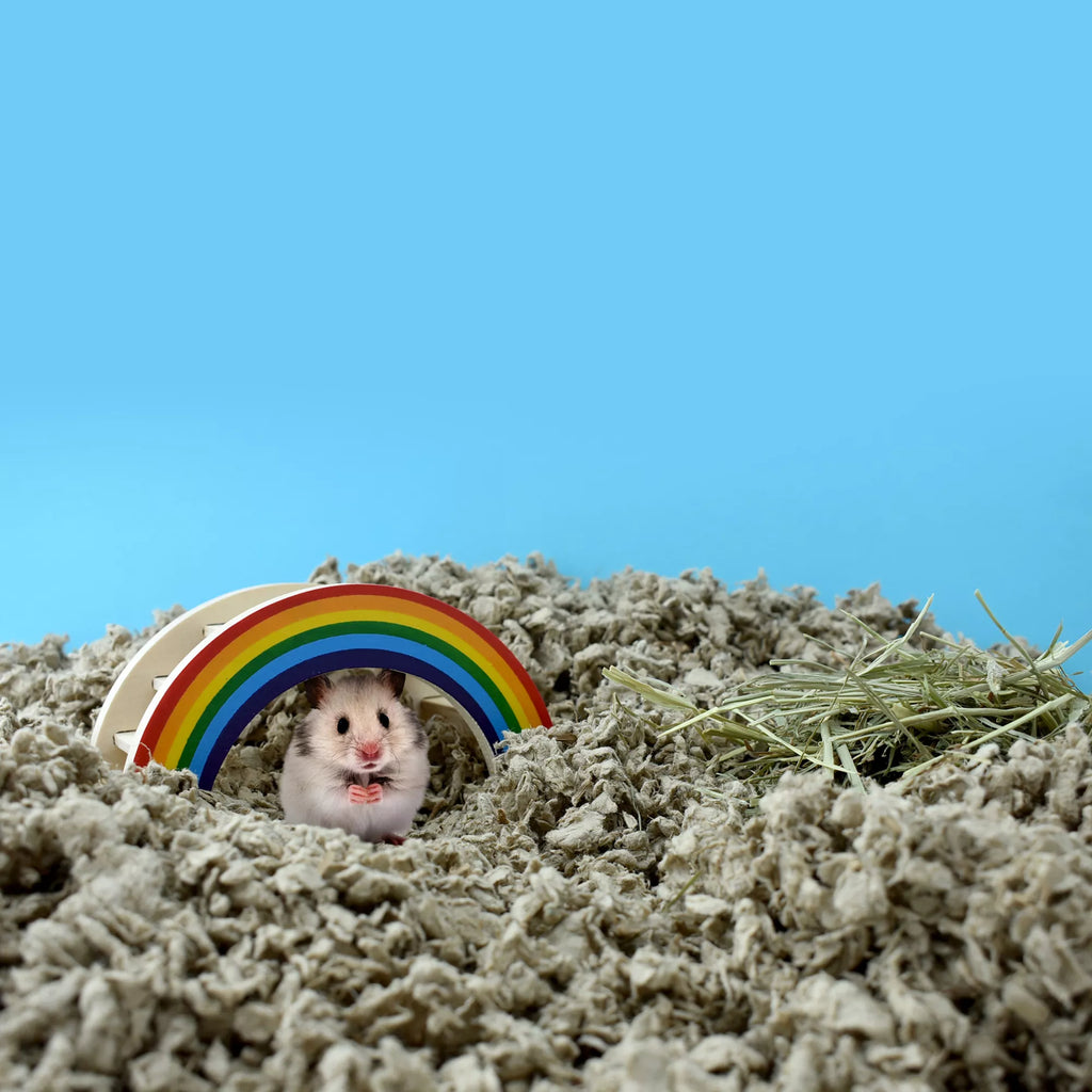 carefresh Small Pet Bedding - Natural Pet Food