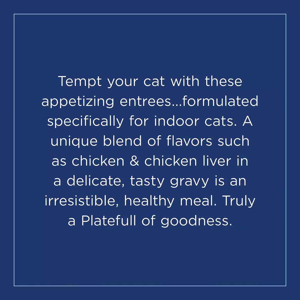 Natural Pet Food Balance Platefulls Adult Cat Food - Grain-Free Pet Food, Chicken & Pumpkin
