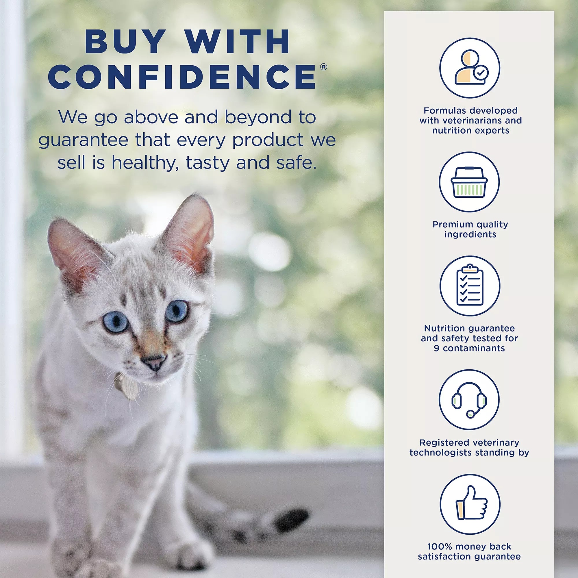 Natural Pet Food Balance Platefulls Adult Cat Food - Grain-Free Pet Food, Chicken & Pumpkin
