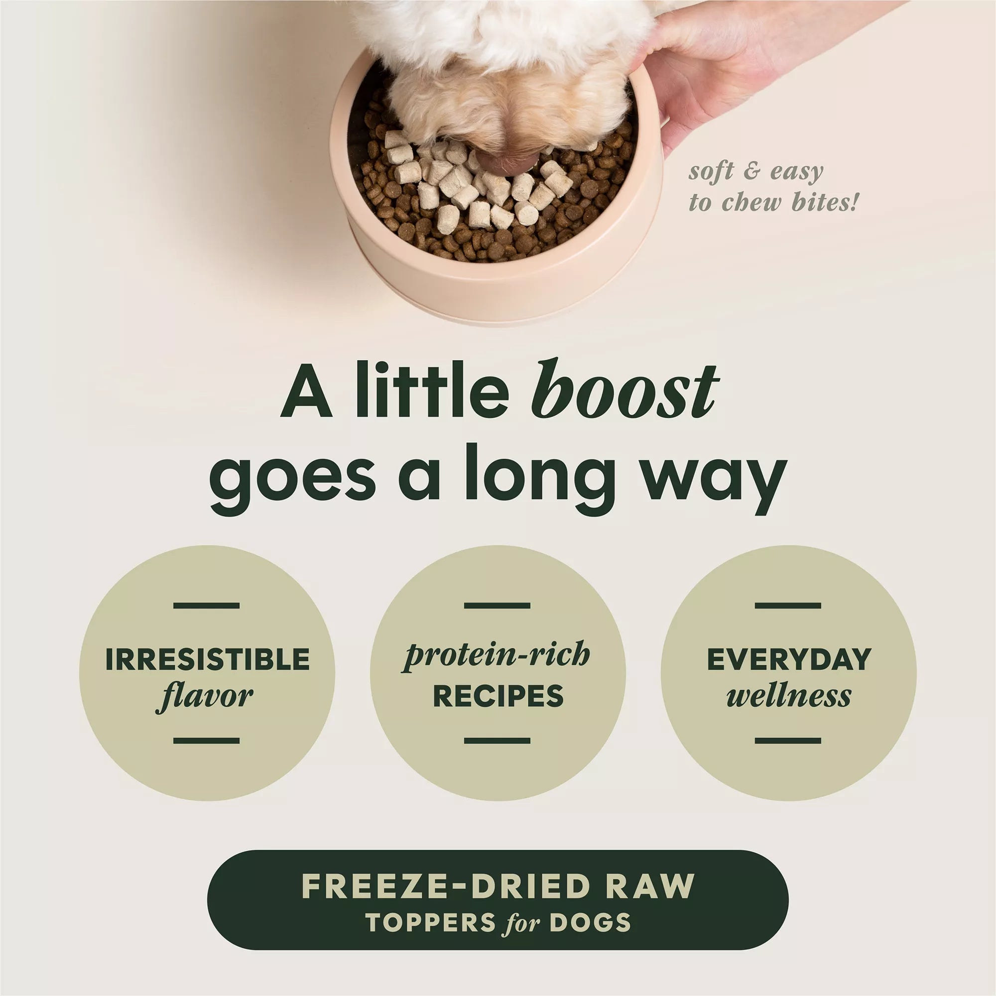 Instinct Raw Boost Mixers Freeze-Dried All Life Stages Dog Food Topper - Raw, Grain-Free Pet Food, Beef