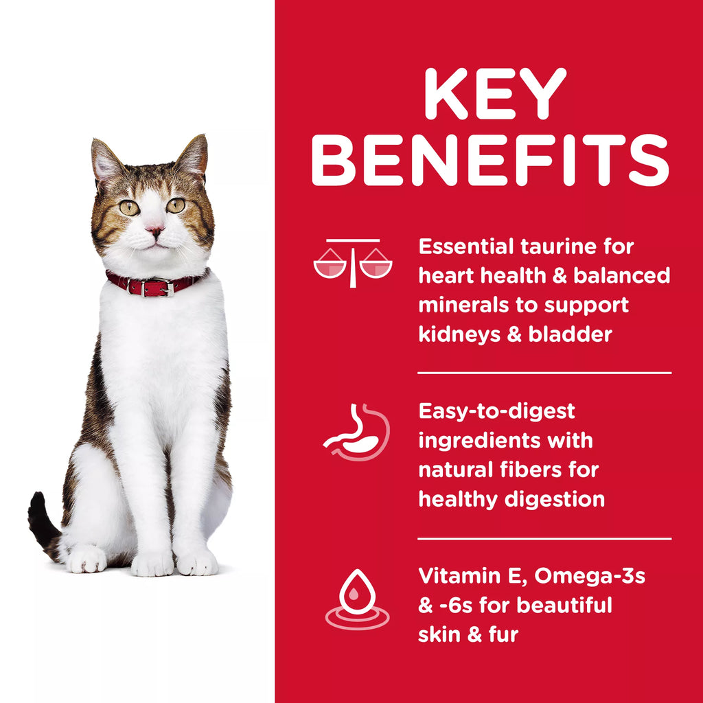 Hill's Science Diet Adult Senior 7+ Dry Cat Food - Chicken