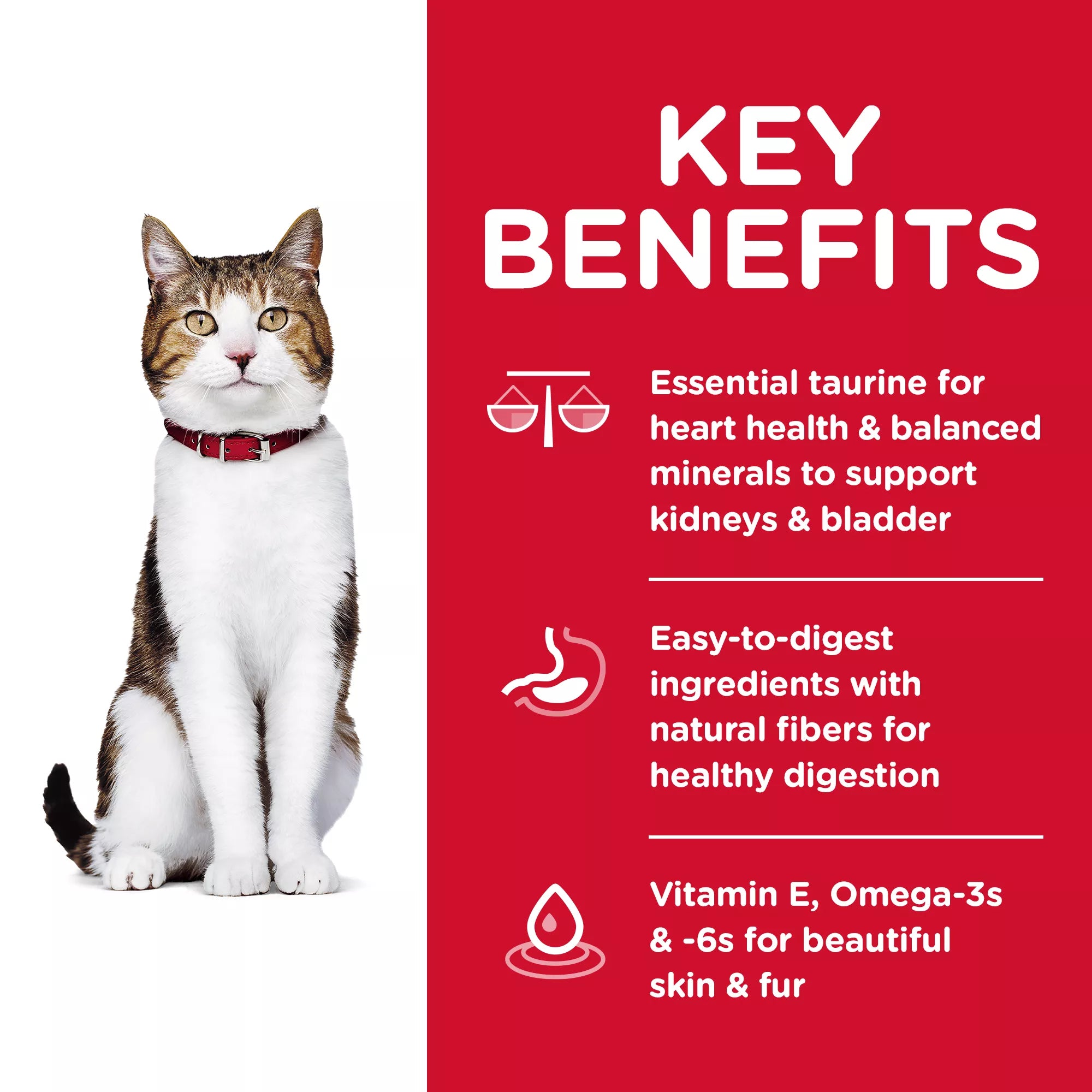 Hill's Science Diet Adult Senior 7+ Dry Cat Food - Chicken