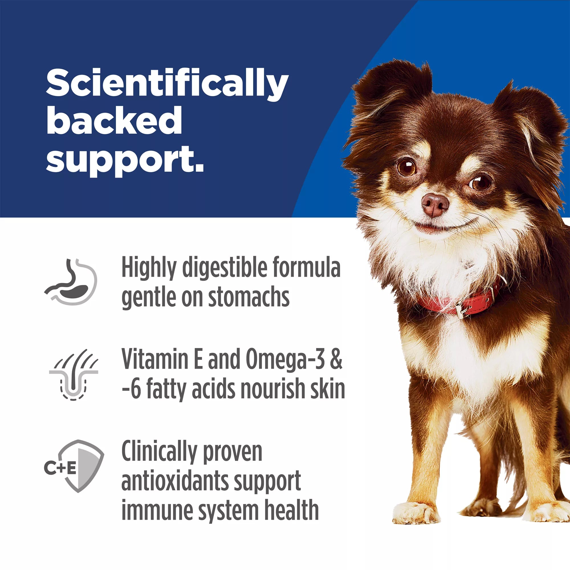 Hill's Science Diet Sensitive Skin & Stomach Food Small & Mini Adult Dog Dry Food - Chicken & Rice