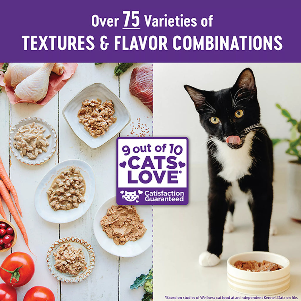 Wellness Healthy Indulgence Morsels Adult Cat Food - Grain-Free Pet Food, Natural Pet Food, Salmon & Tuna