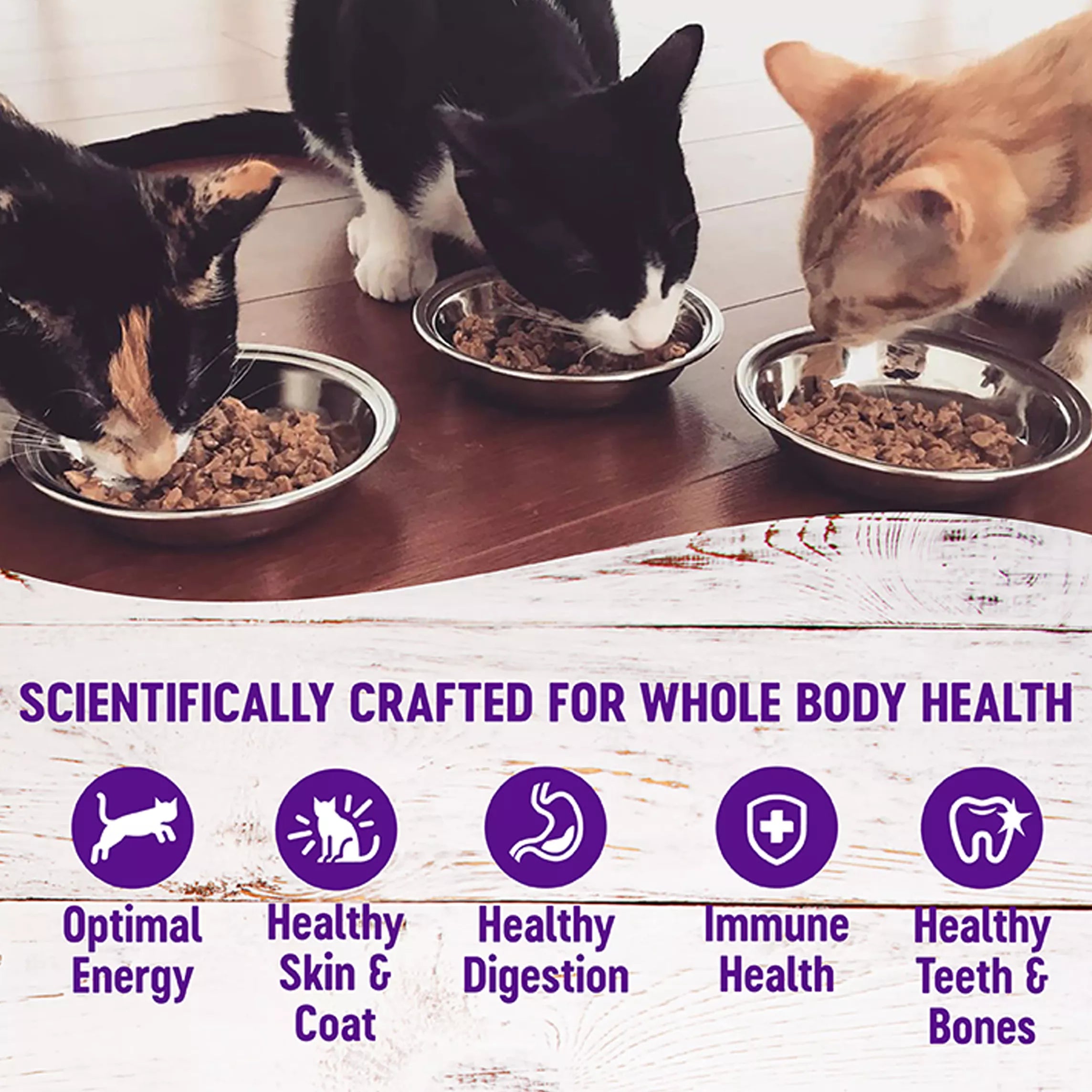 Wellness Healthy Indulgence Shreds Adult Cat Food - Grain-Free Pet Food, Natural Pet Food, SkipJack Tuna & Shrimp