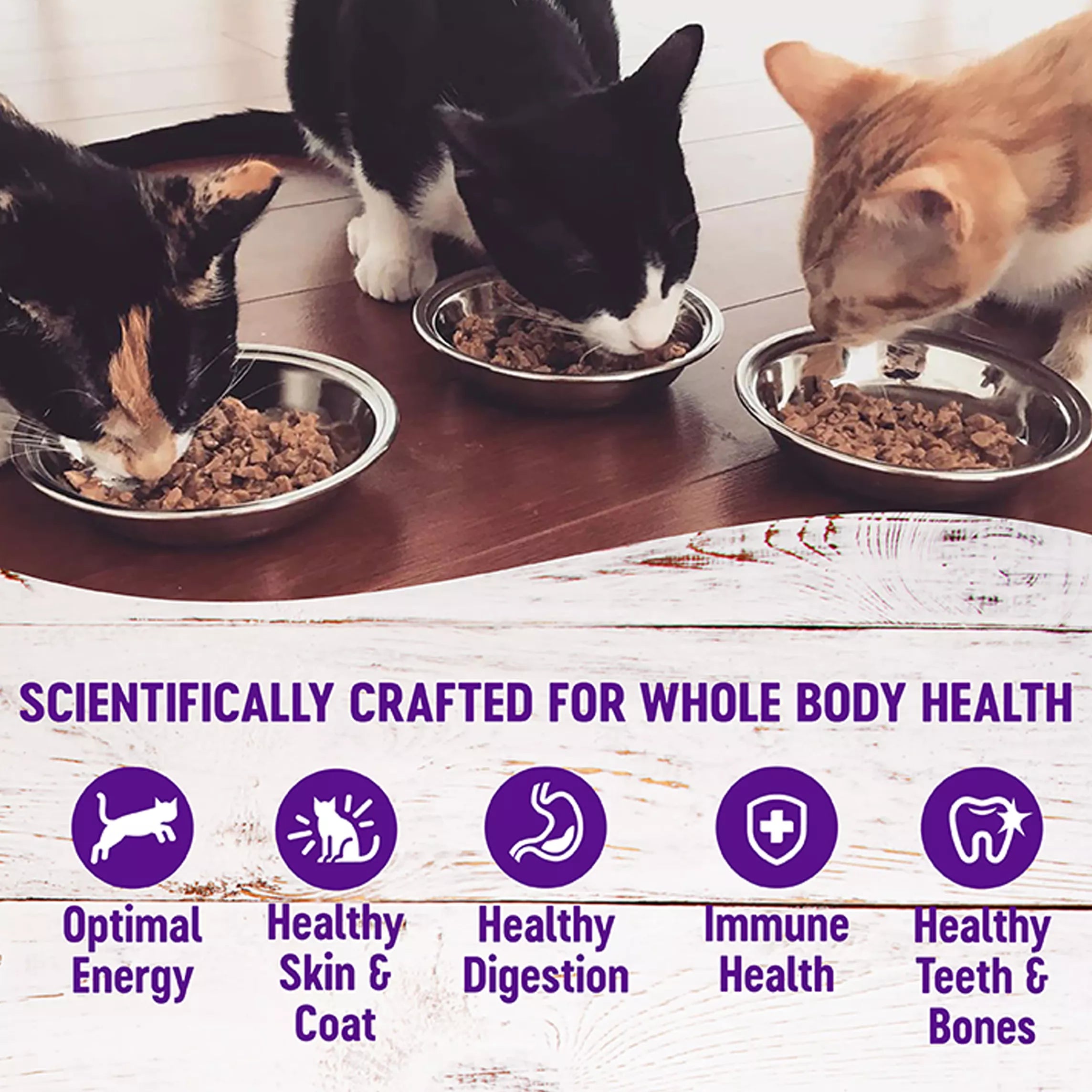 Wellness Healthy Indulgence Gravies Adult Cat Food - Grain-Free Pet Food, Natural Pet Food, Chicken & Turkey