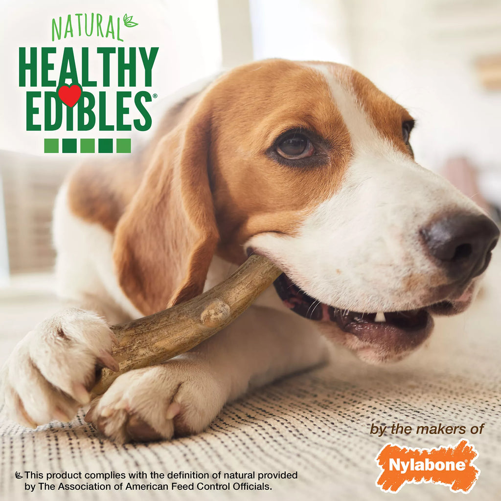 Nylabone Healthy Edibles Venison Antlers Dog Treats - 10 Pack