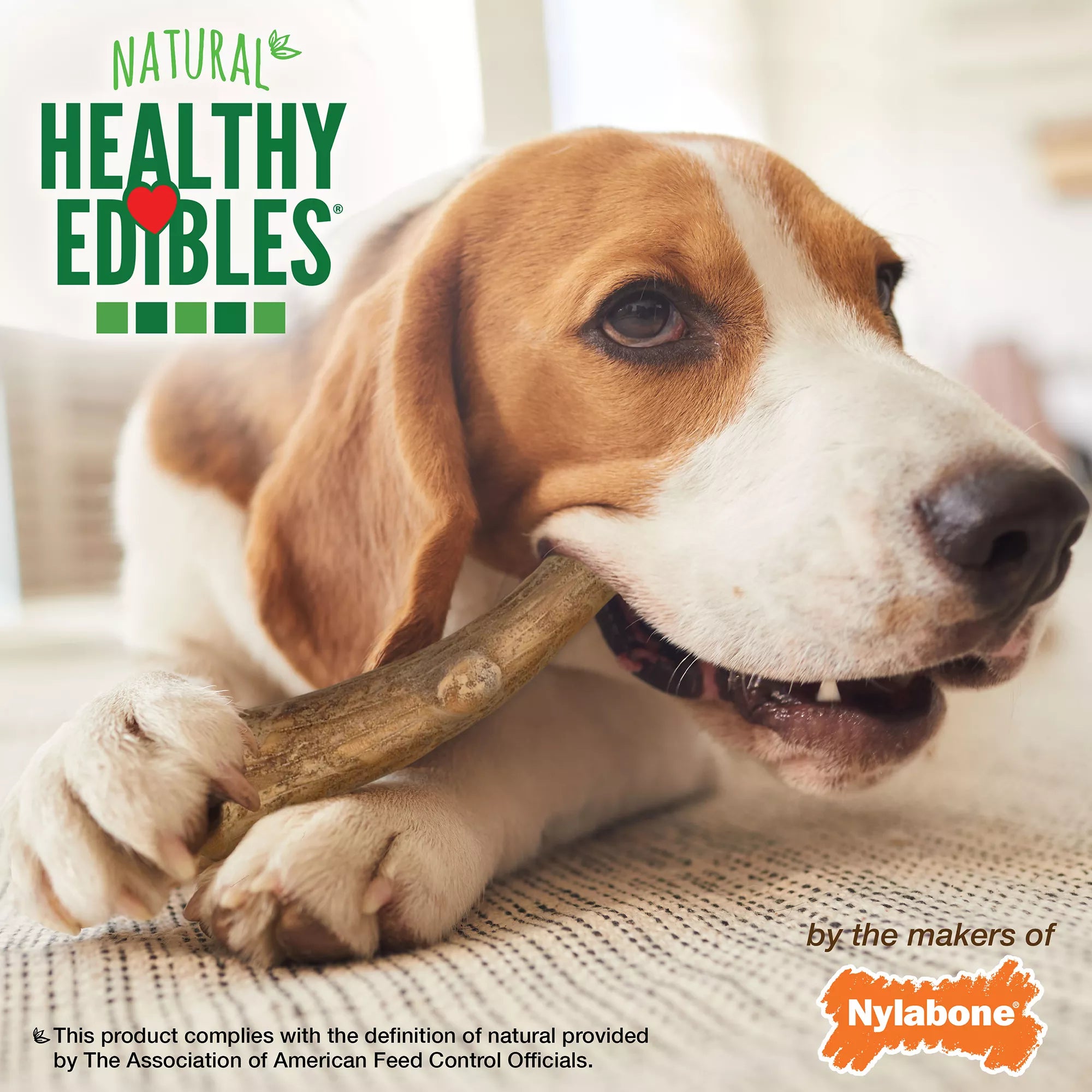 Nylabone Healthy Edibles Venison Antlers Dog Treats - 10 Pack