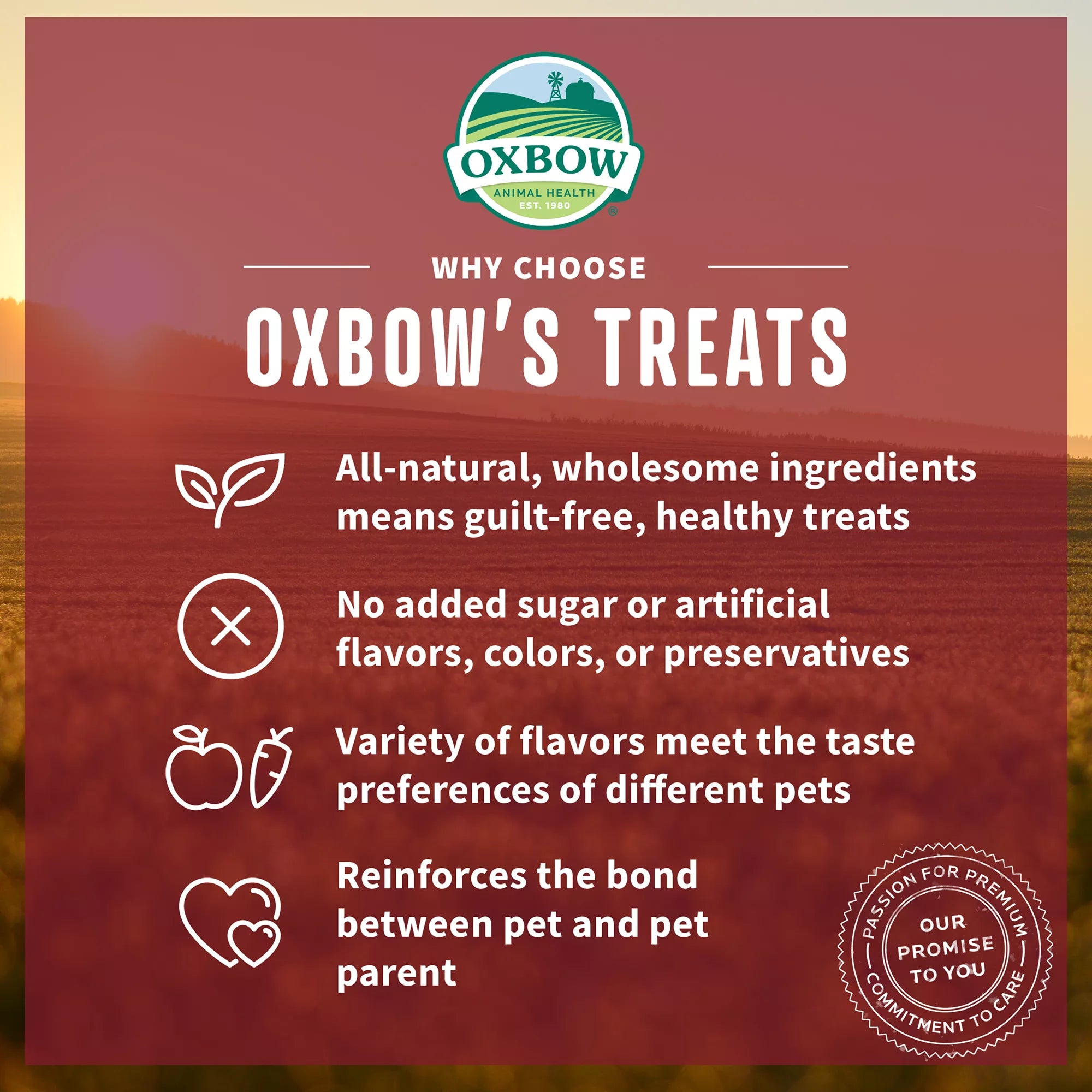 Oxbow Simple Rewards Baked Small Pet Treats - Apple & Banana
