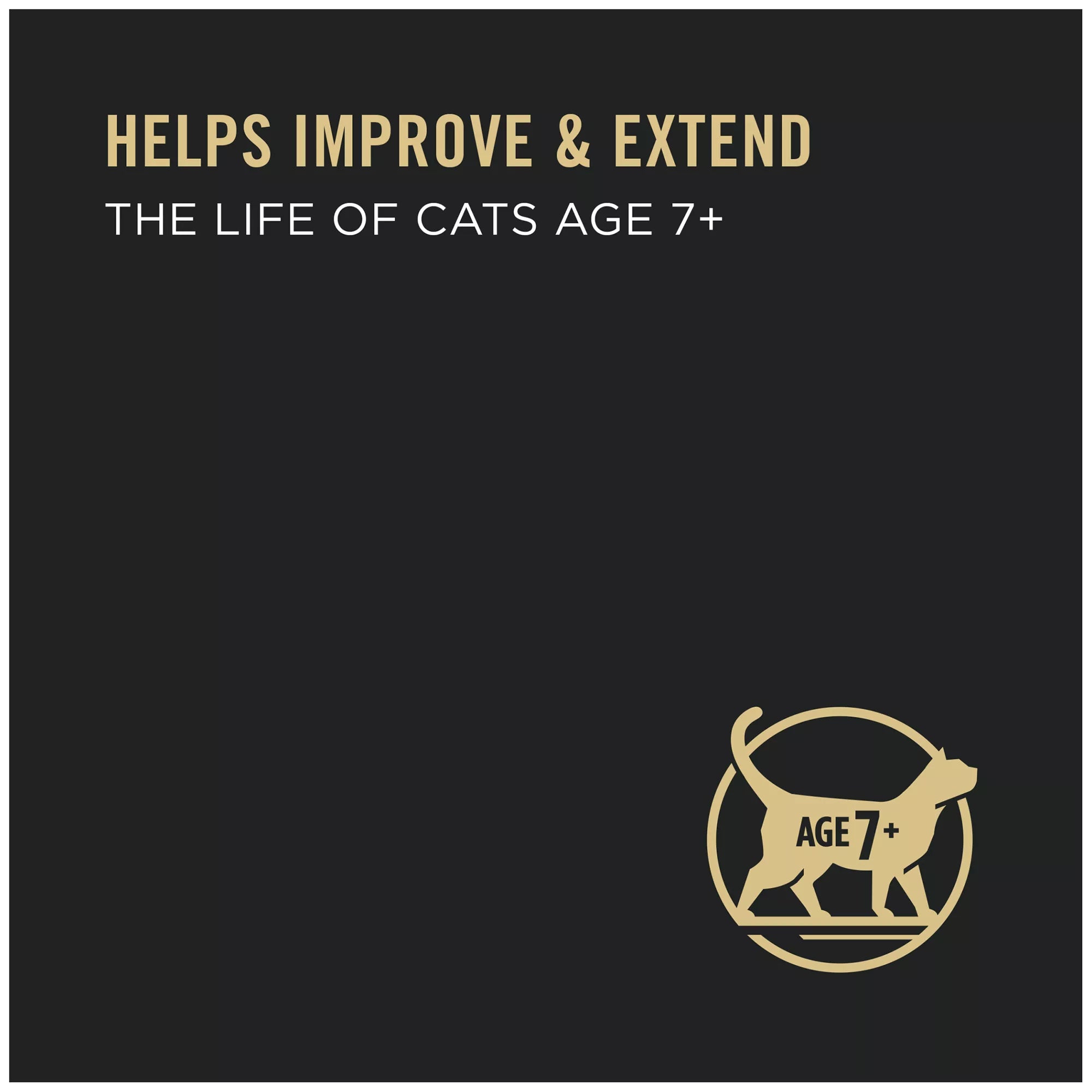 Purina Pro Plan Prime Plus Senior Wet Cat Food - Grain-Free Pet Food, With Vitamins, 3 Oz