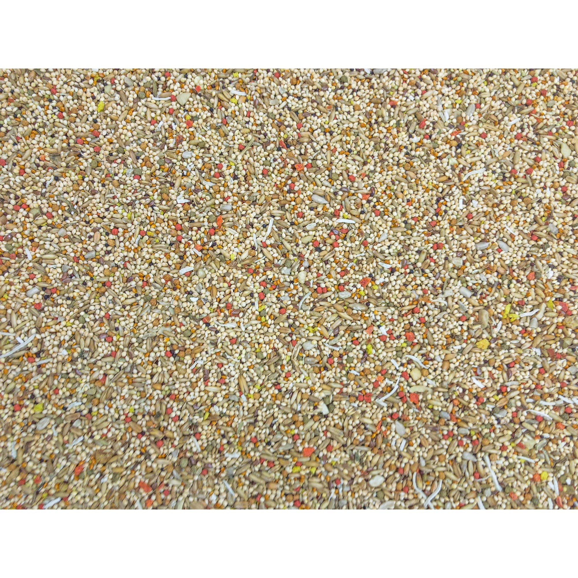 Higgins Sunburst Gourmet Blend Parakeet Food