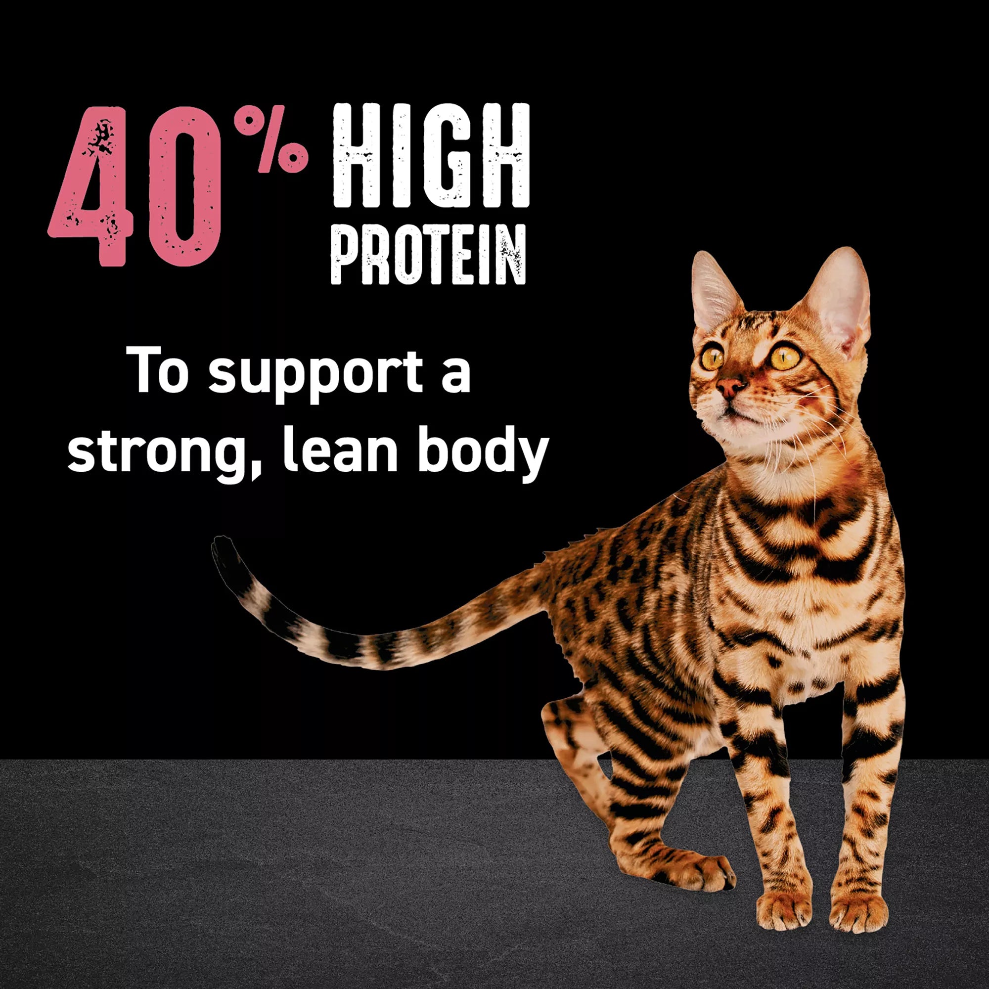 Crave High Protein Indoor Adult Dry Cat Food - Grain-Free Pet Food, Chicken & Salmon
