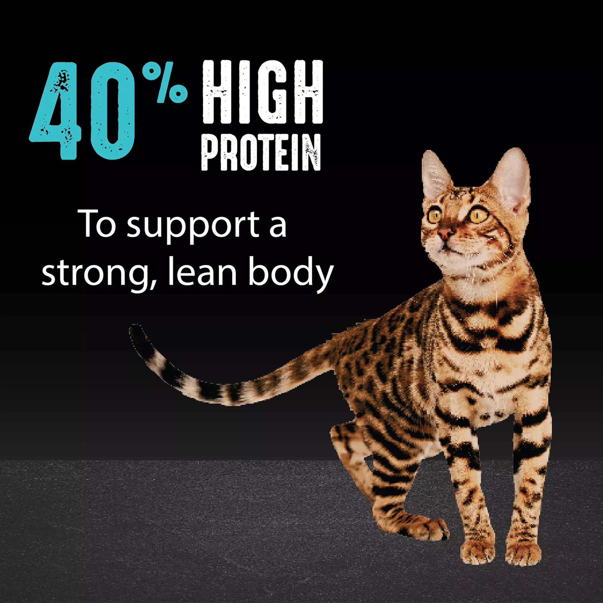 Crave High Protein Adult Dry Cat Food - Grain-Free Pet Food, Salmon & Ocean Whitefish