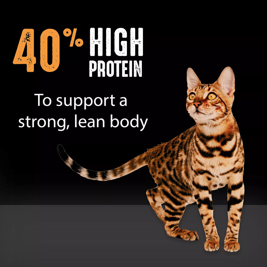 Crave High Protein Adult Dry Cat Food - Grain-Free Pet Food, Chicken