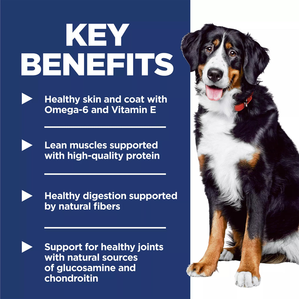 Hill's Science Diet Large Breed Adult Dog Food - Dry - Chicken & Barley