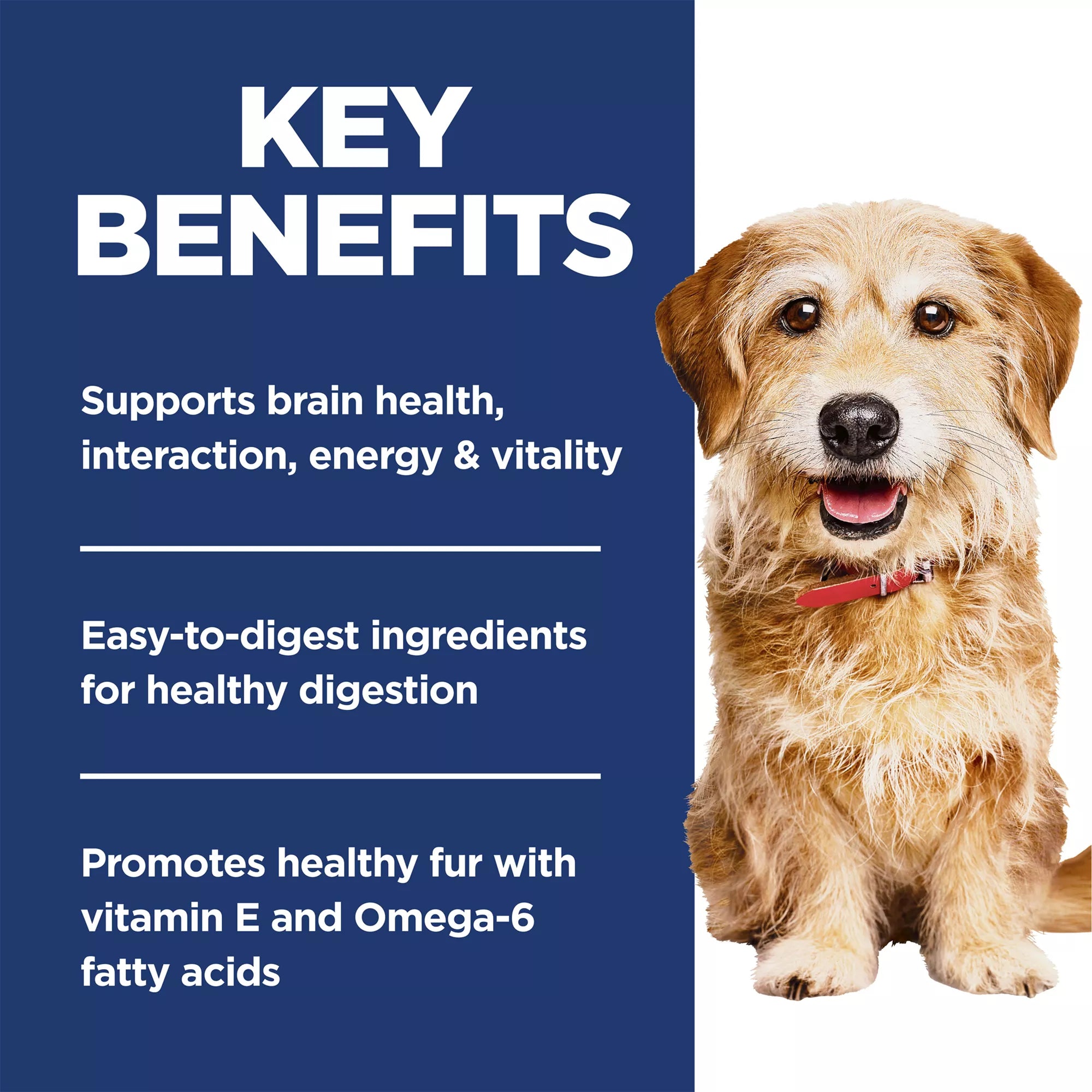 Hill's Science Diet Senior Vitality Small & Mini Senior 7+ Dry Dog Food - Chicken & Rice