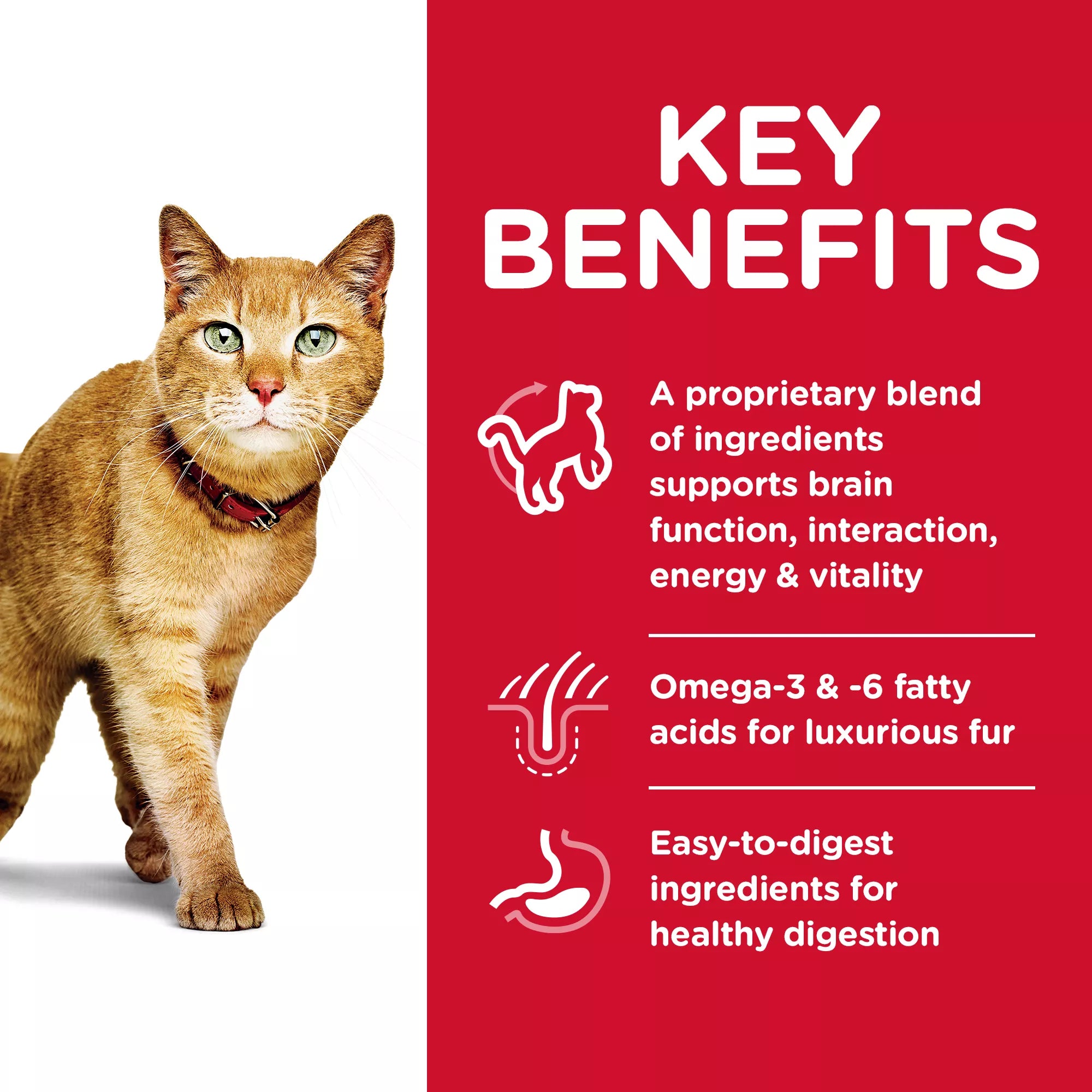 Hill's Science Diet Senior Vitality Adult Senior 7+ Dry Cat Food - Chicken