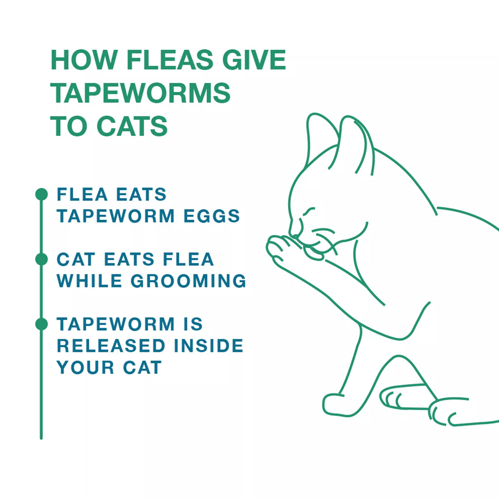 Elanco Tapeworm Dewormer Tablets for Cats