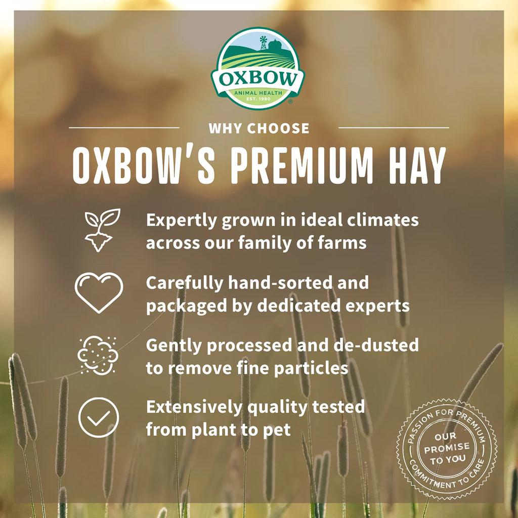 Oxbow Western Timothy & Orchard Grass Hay