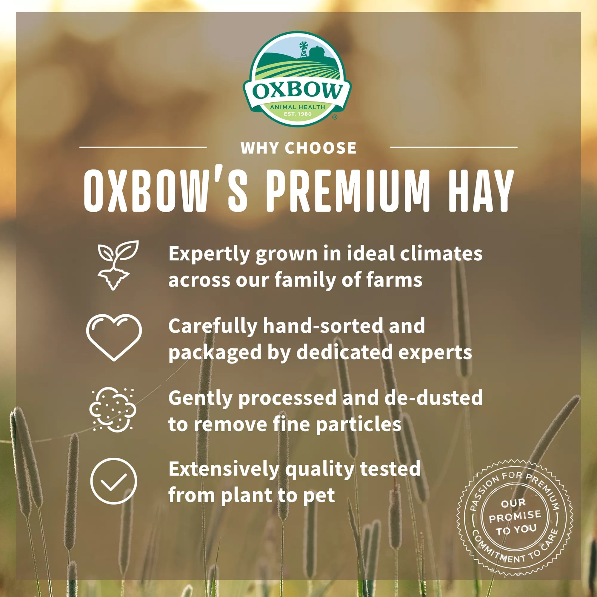Oxbow Western Timothy & Orchard Grass Hay