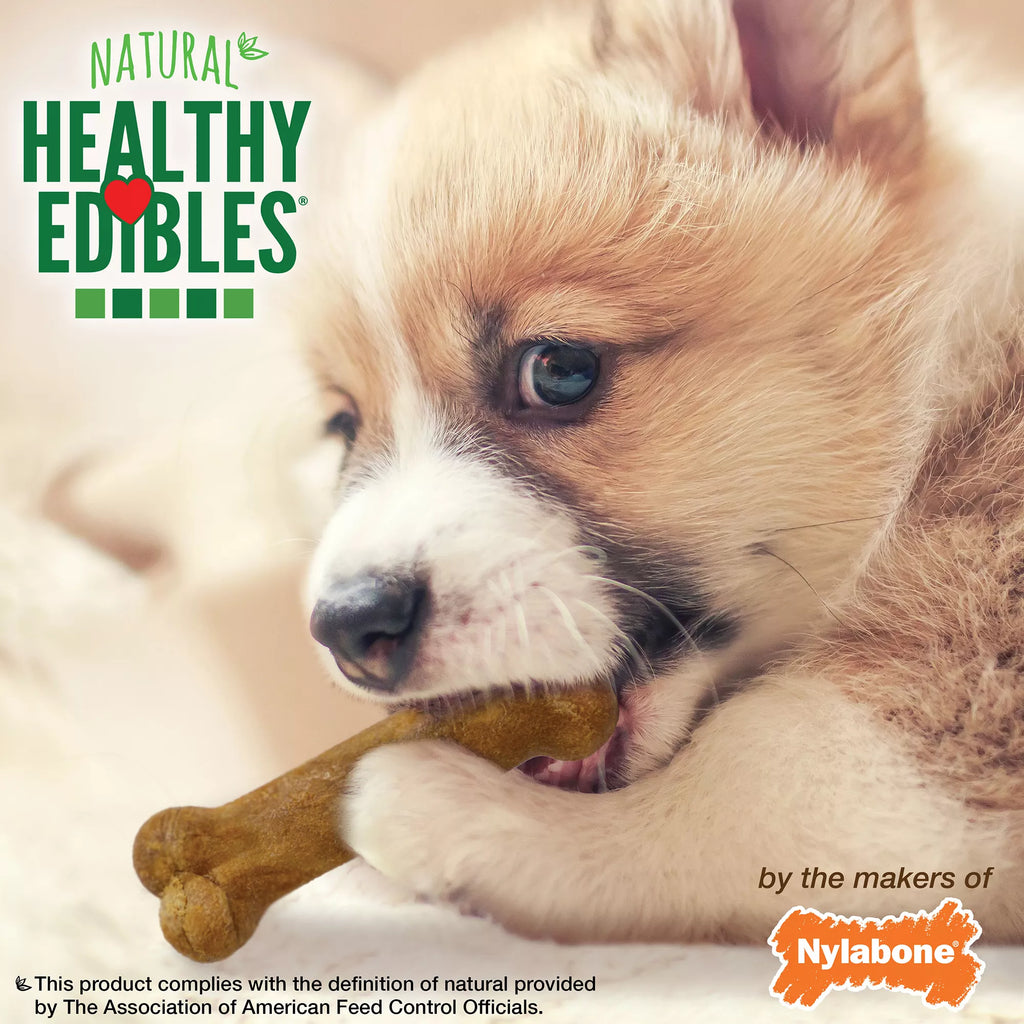 Healthy Edibles Puppy Chew Treats Pet Food Variety Pack 3 Count 2.2 OZ