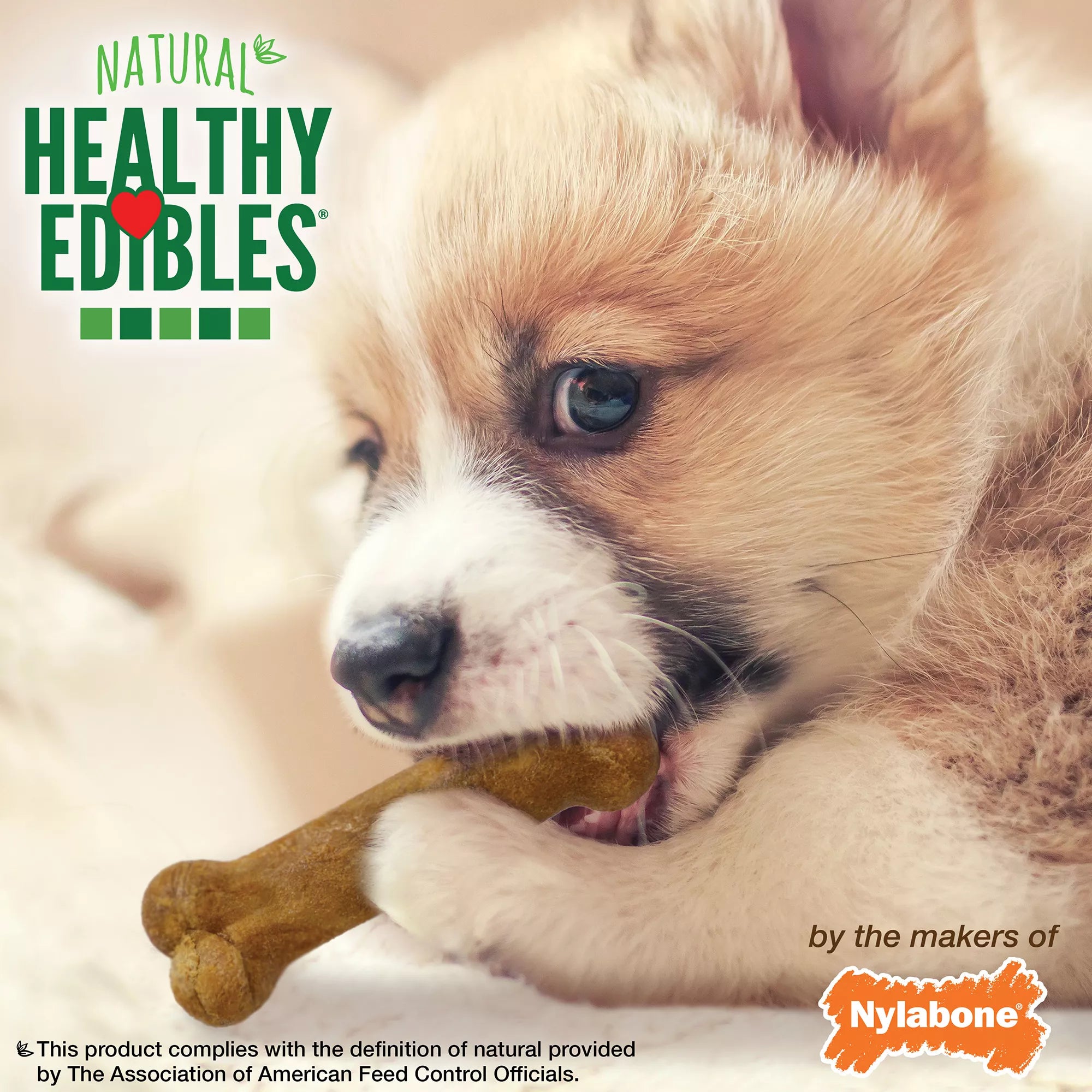 Healthy Edibles Puppy Chew Treats Pet Food Variety Pack 3 Count 2.2 OZ