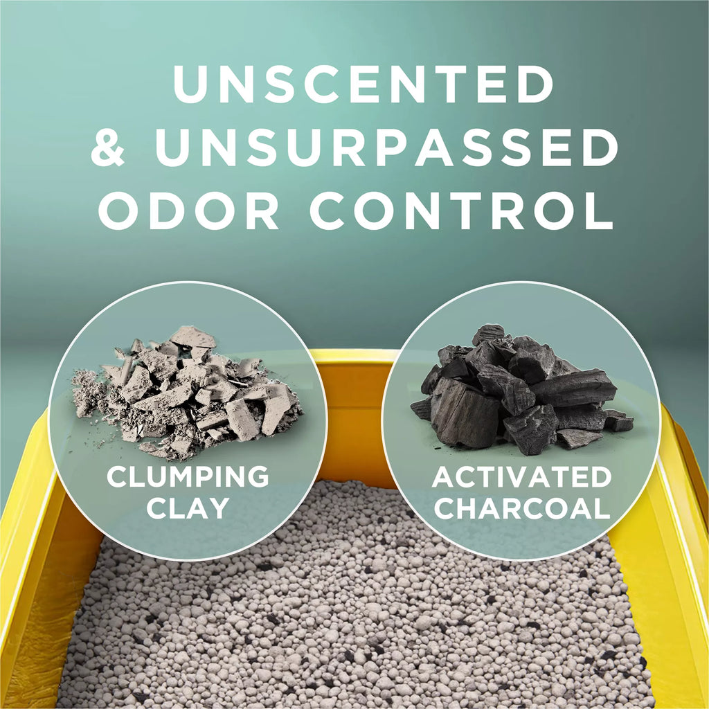 Purina Tidy Cats Free & Clean Multi-Cat Clumping Cat Litter - Unscented Pet Litter, Low Dust Litter