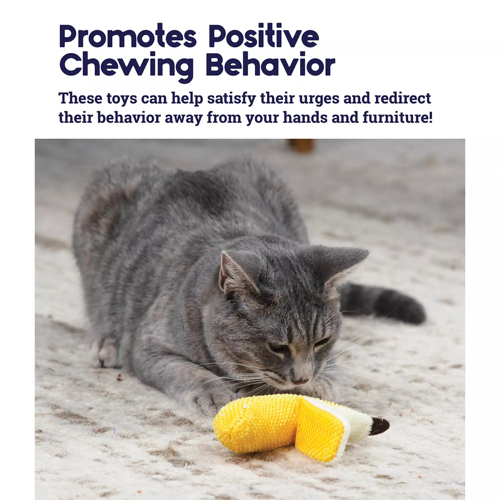Catstages Dental Banana Teether Cat Toy