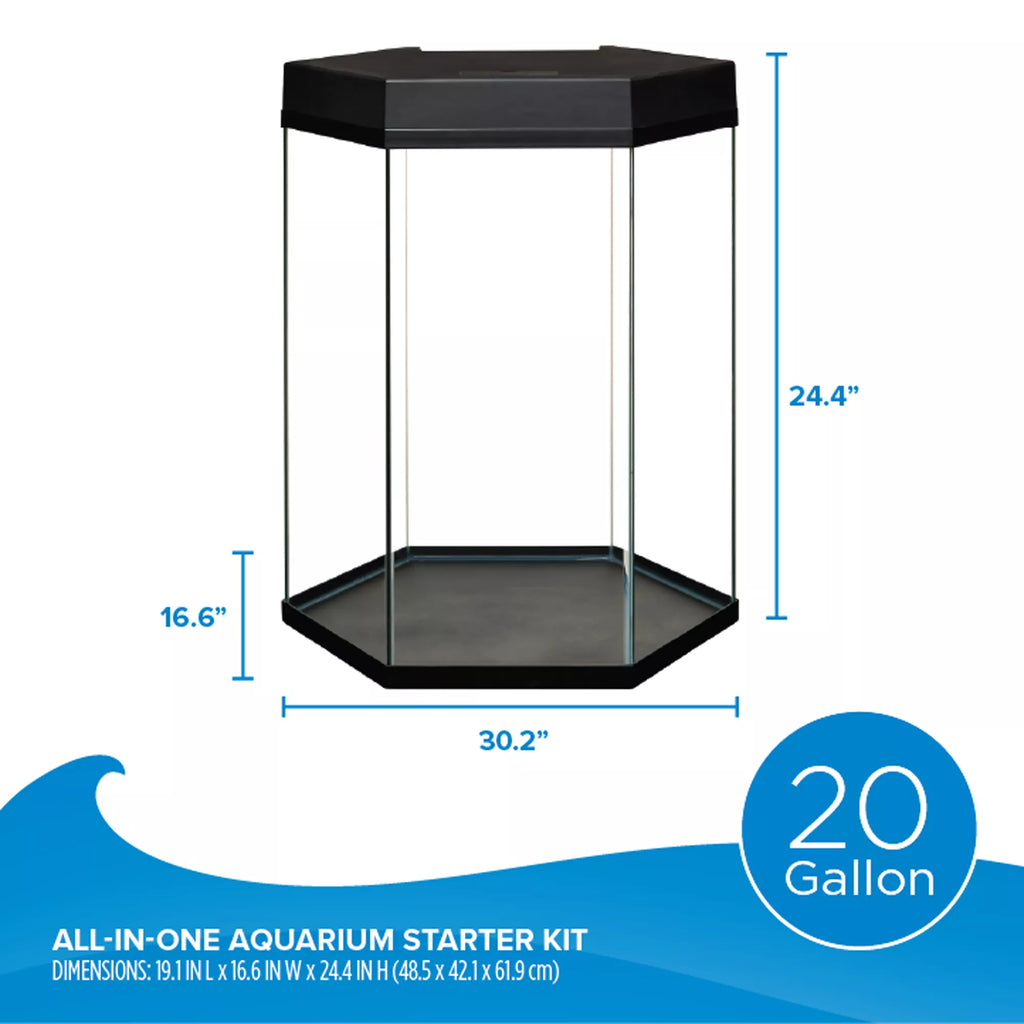 Top Fin Captivate Starter Kit