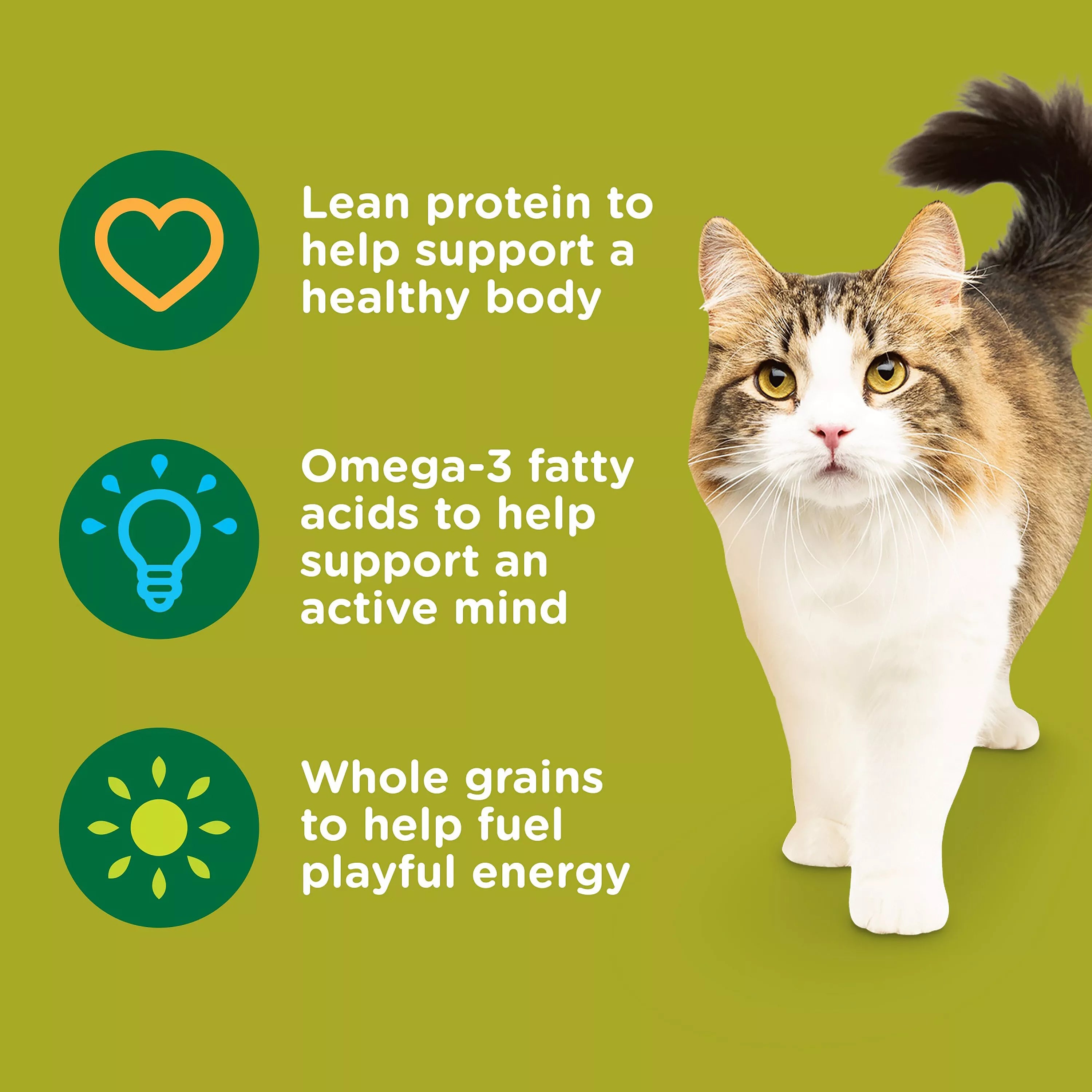 Rachael Ray Nutrish Dry Cat Food All Ages - Chicken, Brown Rice