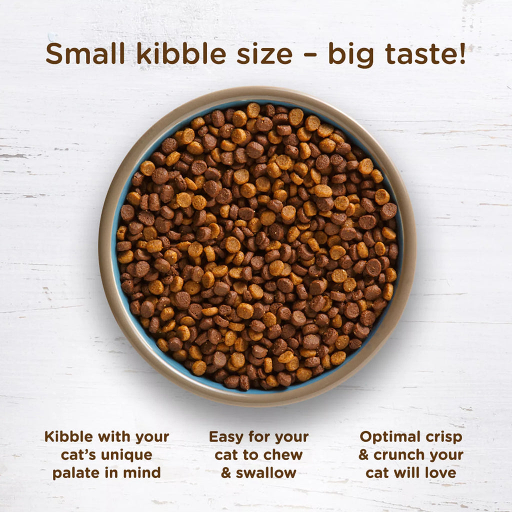 Rachael Ray Nutrish Longevity Dry Cat Food All Ages - Chicken, Chickpeas, Salmon