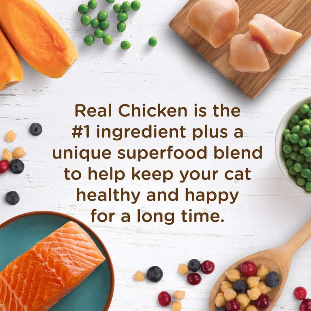 Rachael Ray Nutrish Longevity Dry Cat Food All Ages - Chicken, Chickpeas, Salmon