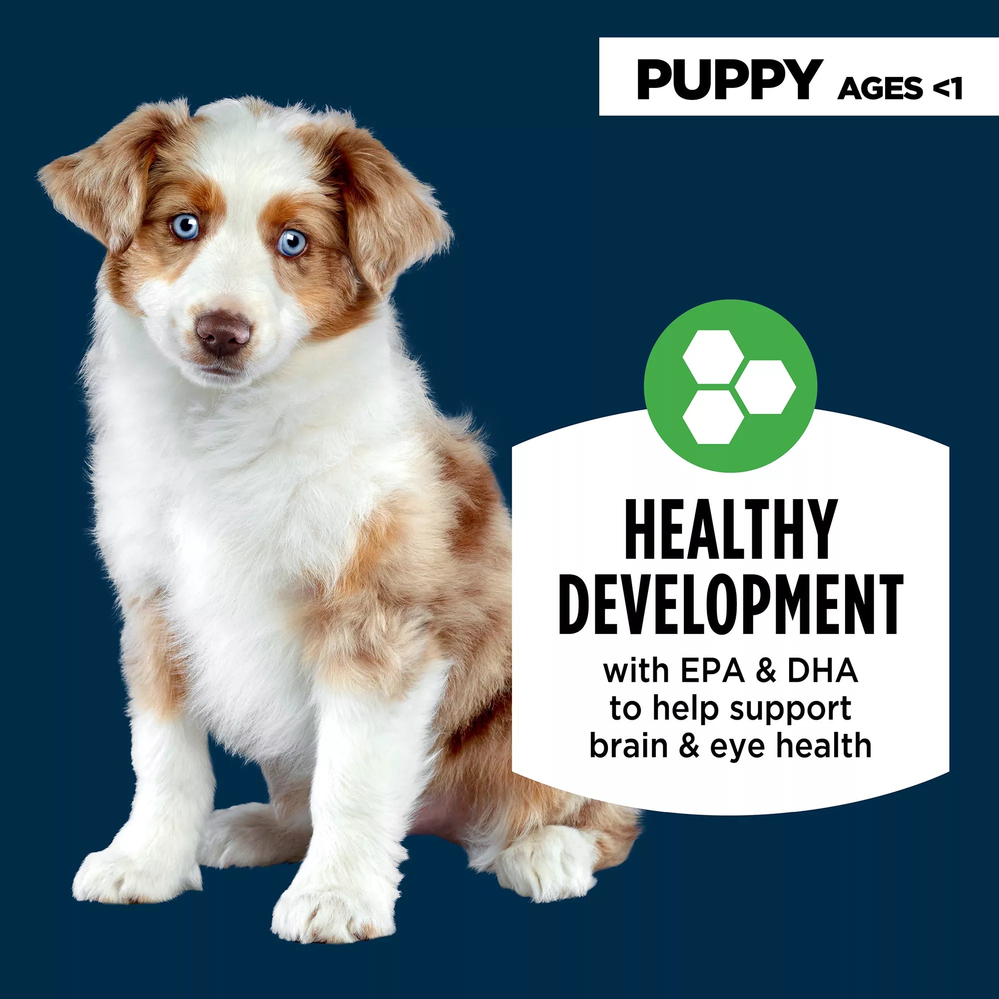 Authority Everyday Health Chicken & Rice Entree Puppy Wet Dog Food - 13 oz