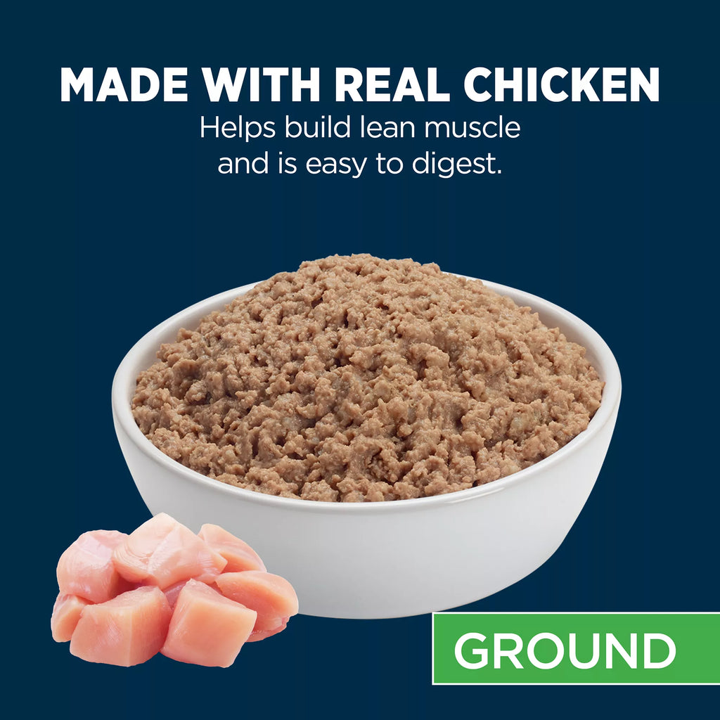 Authority Everyday Health Chicken & Rice Entree Puppy Wet Dog Food - 13 oz