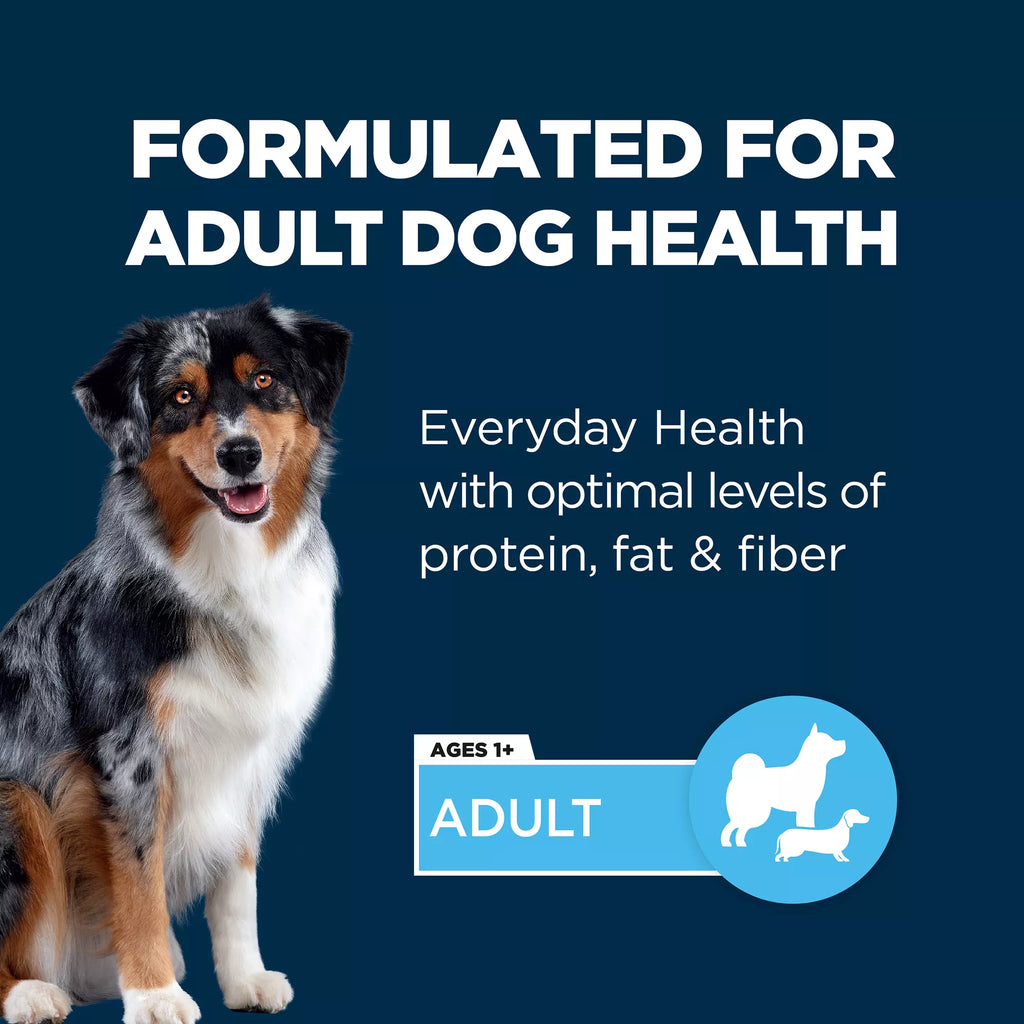 Authority Everyday Health Adult Wet Dog Food - 13 Oz.