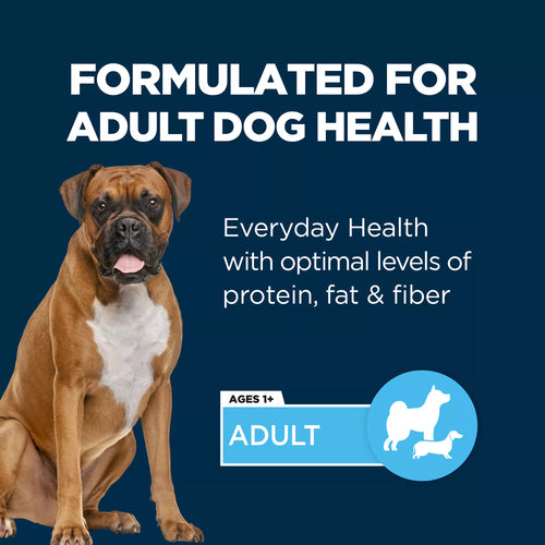 Authority Everyday Health Adult Wet Dog Food - 13 Oz.
