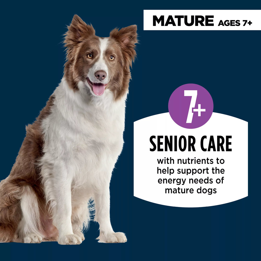 Authority Everyday Health Chicken & Rice Entree Senior 7+ Wet Dog Food - 13 oz