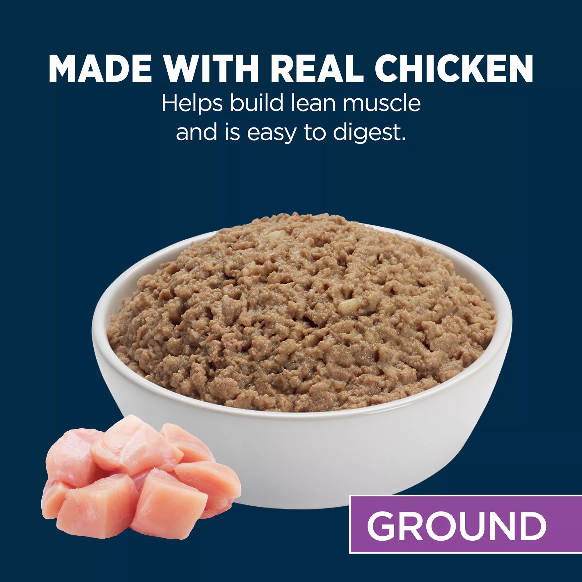 Authority Everyday Health Chicken & Rice Entree Senior 7+ Wet Dog Food - 13 oz