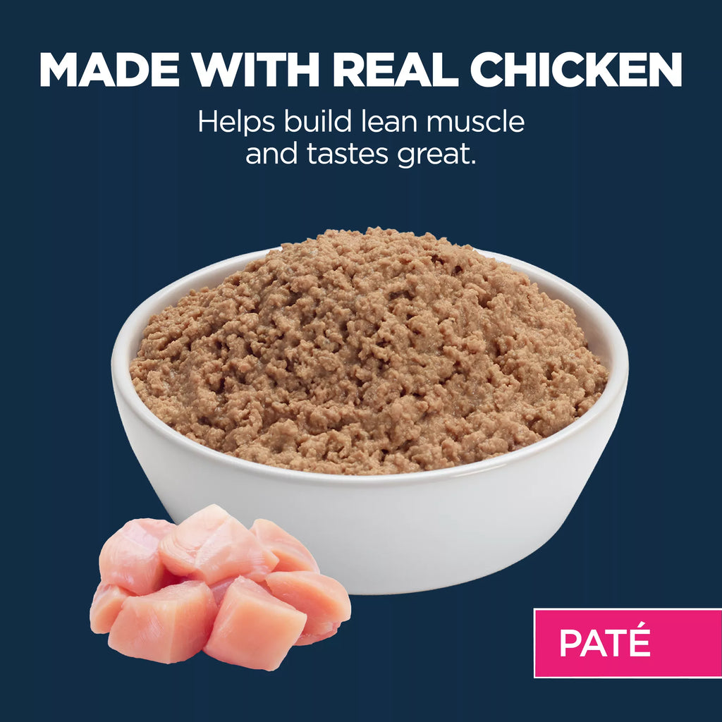 Authority Everyday Health Kitten Cat Wet Food - 5.5 Oz, Pate, With-Grain