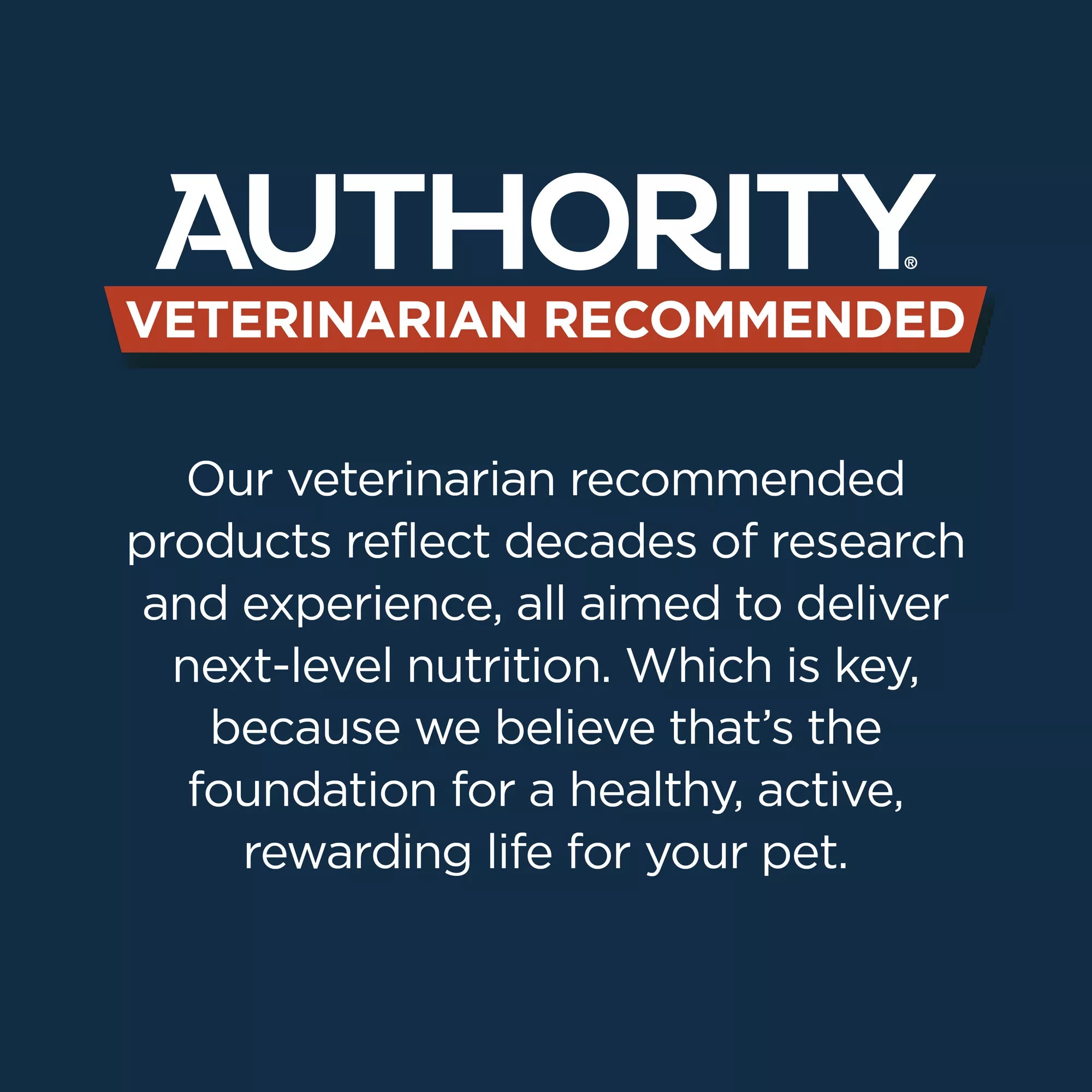Authority Everyday Health Kitten Cat Wet Food - 5.5 Oz, Pate, With-Grain