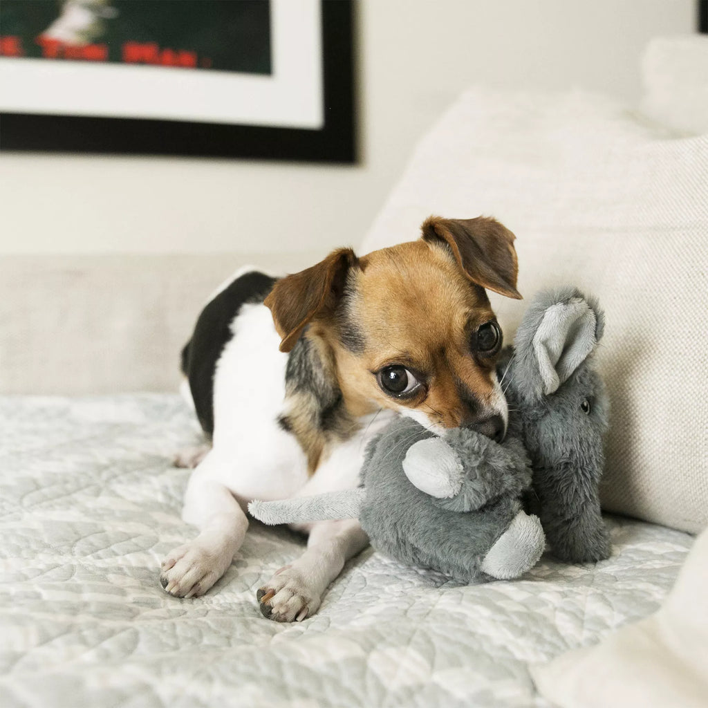 KONG Kiddos Comfort Elephant Dog Toy - Plush, Squeaker