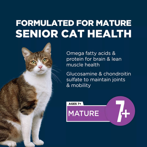 Authority Everyday Health Senior Dry Cat Food - Chicken & Rice, With-Grain