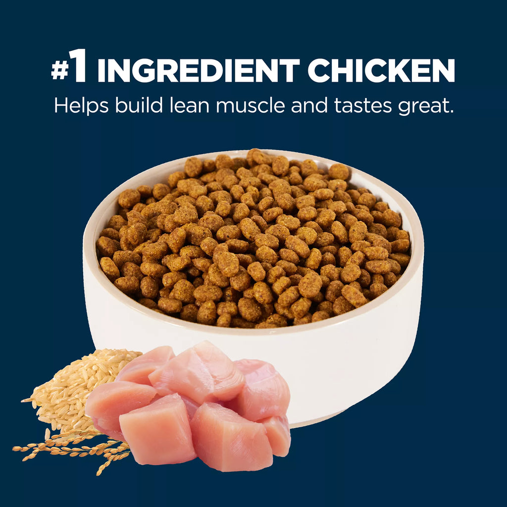 Authority Everyday Health Senior Dry Cat Food - Chicken & Rice, With-Grain