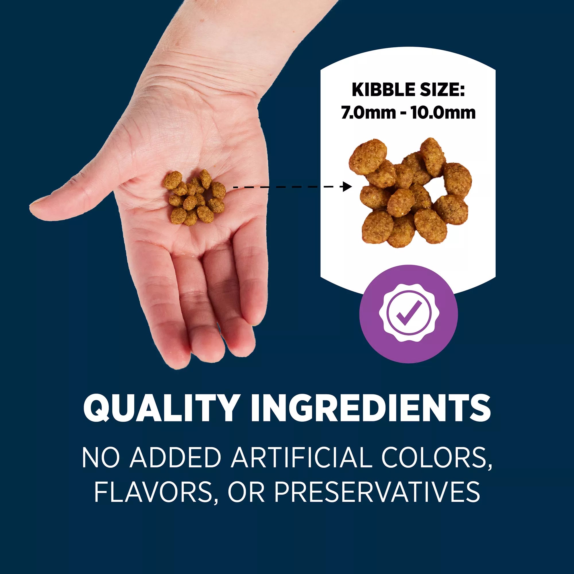 Authority Everyday Health Senior Dry Cat Food - Chicken & Rice, With-Grain