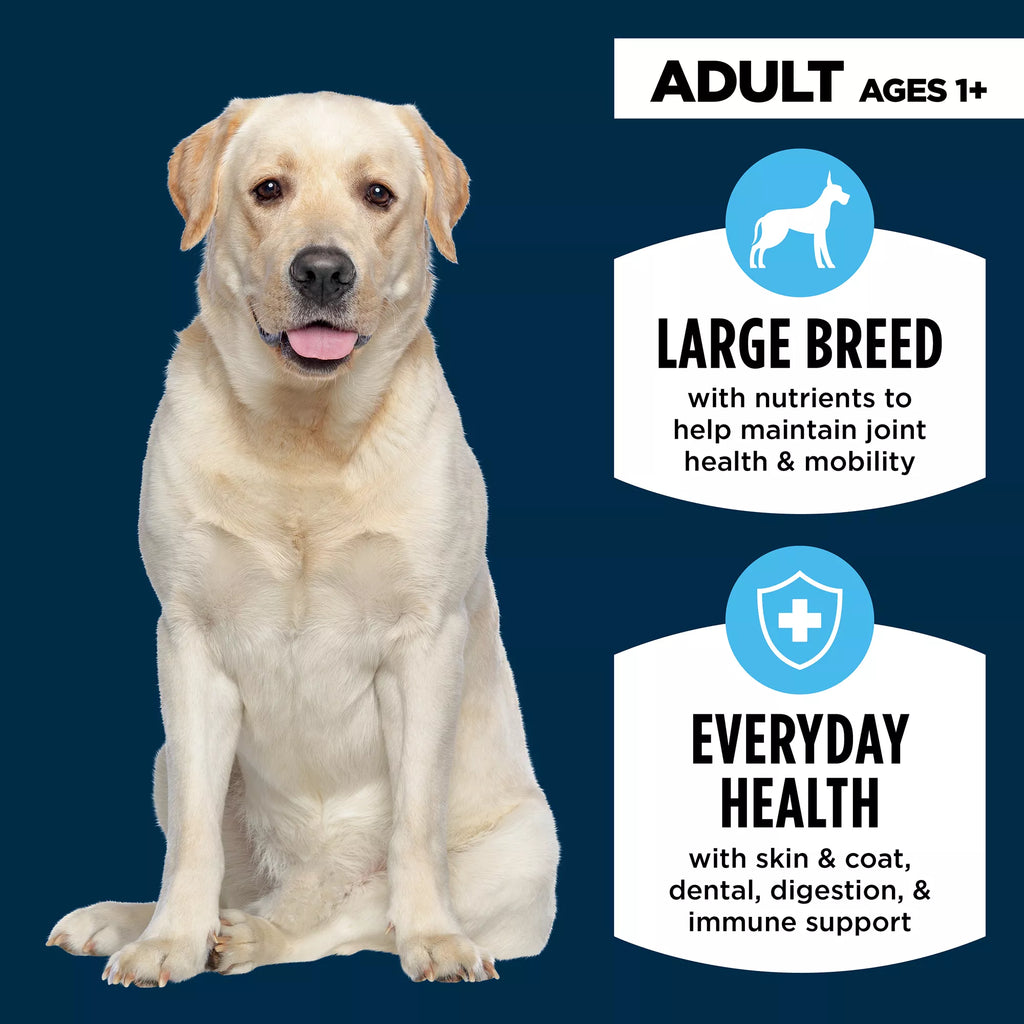 Authority Everyday Health Large Breed Adult Dog Food - Dry - Chicken & Rice
