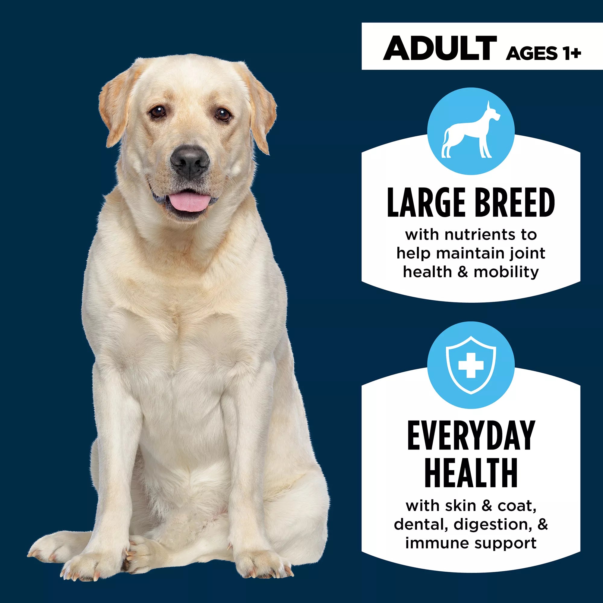 Authority Everyday Health Large Breed Adult Dog Food - Dry - Chicken & Rice