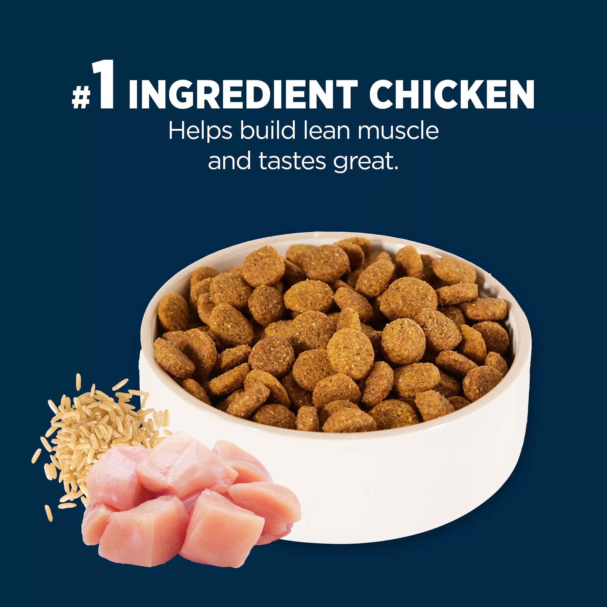 Authority Everyday Health Large Breed Adult Dog Food - Dry - Chicken & Rice