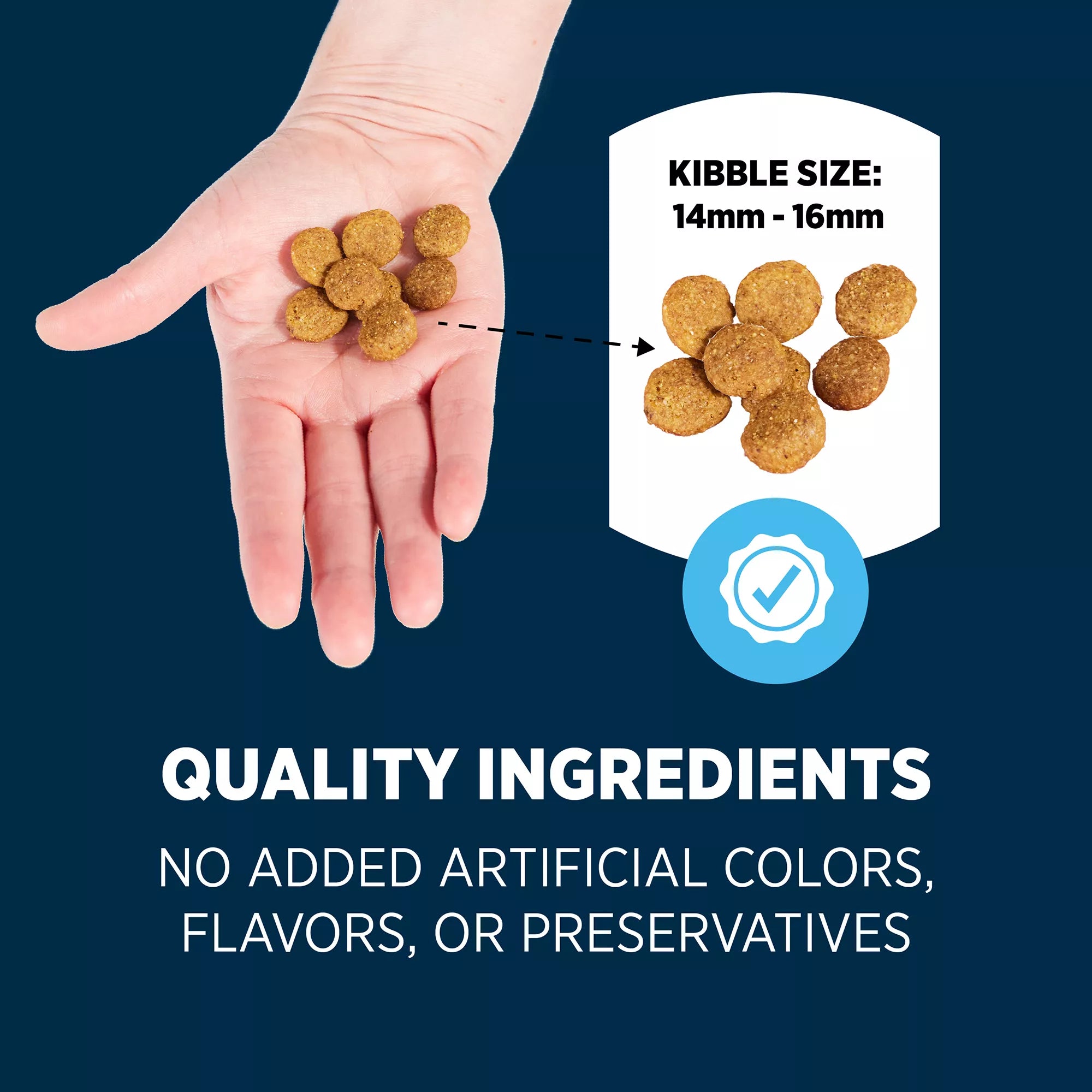 Authority Everyday Health Large Breed Adult Dog Food - Dry - Chicken & Rice