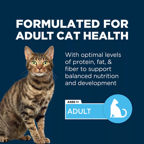Authority Everyday Health Adult Dry Cat Food - Chicken & Rice, With-Grain